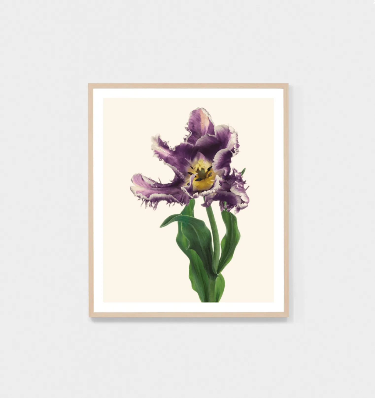 BLUME 2 - FRAMED PRINT