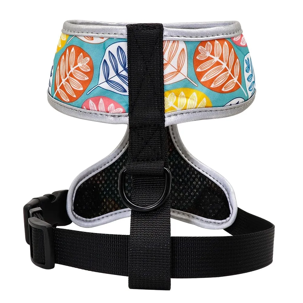 Colorful Dachshund Harness