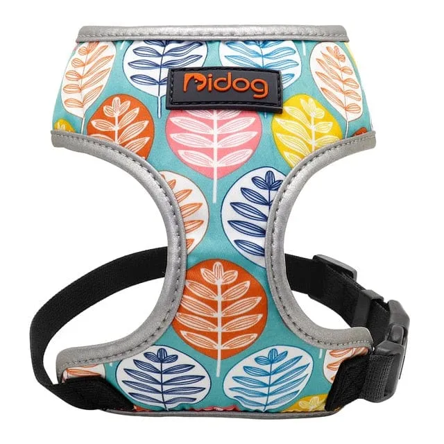 Colorful Dachshund Harness