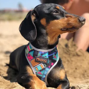 Colorful Dachshund Harness