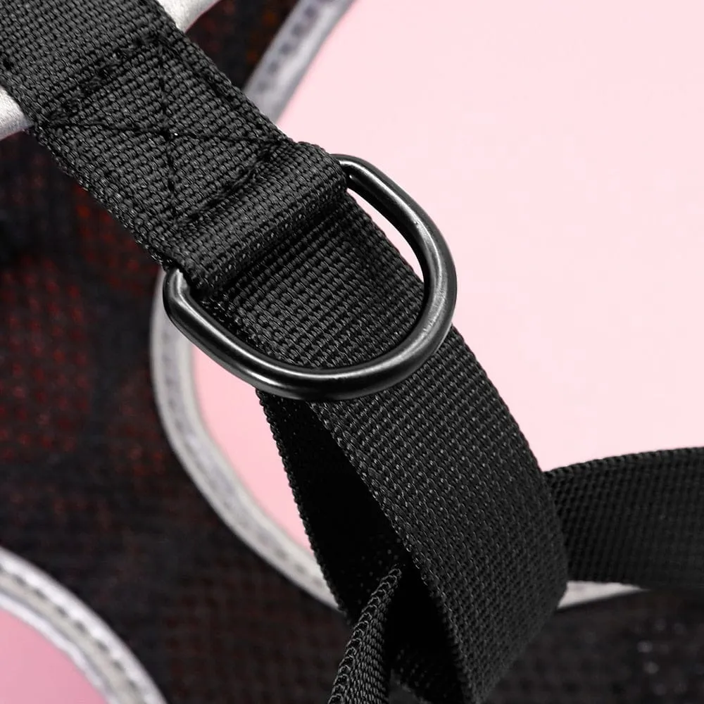Colorful Dachshund Harness