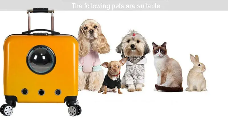 Universal Breathable Carrier For Cat