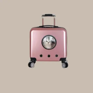 Universal Breathable Carrier For Cat