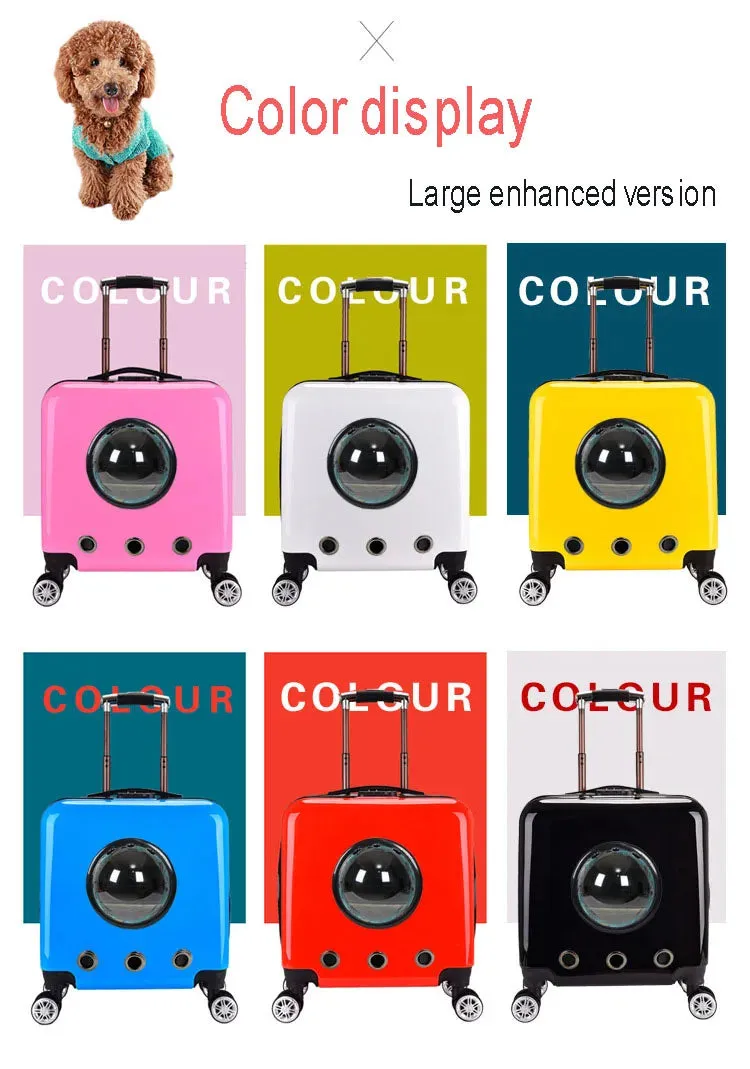 Universal Breathable Carrier For Cat