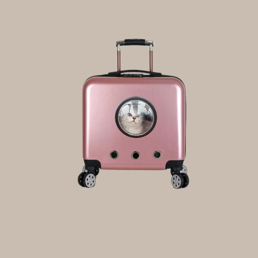 Universal Breathable Carrier For Cat