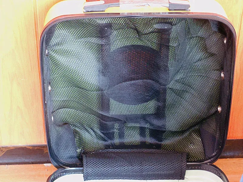 Universal Breathable Carrier For Cat