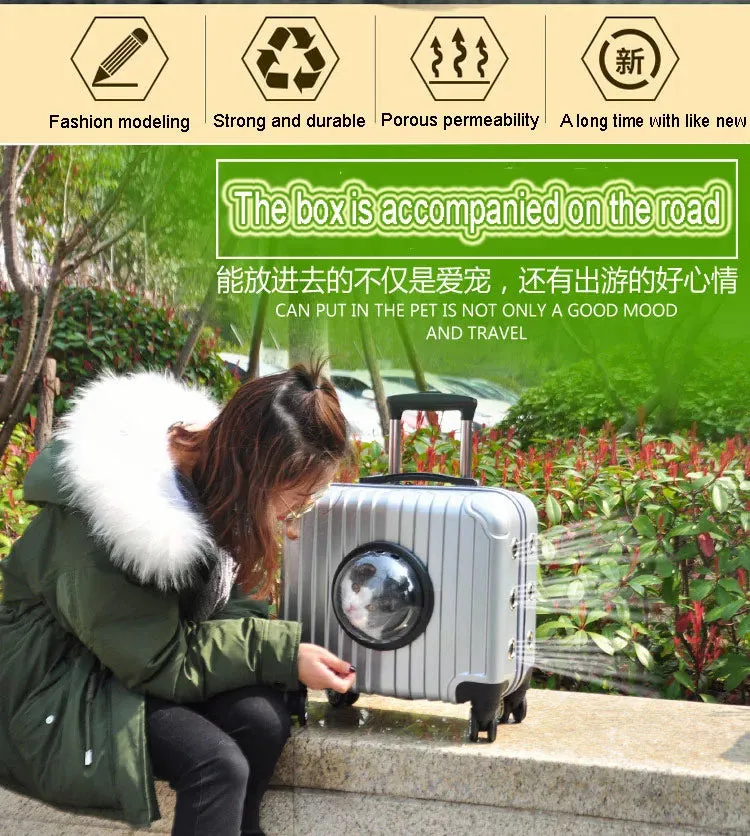 Universal Breathable Carrier For Cat